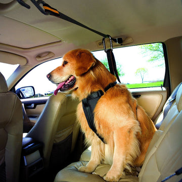 Pet Safety Belt Dual-purpose Car Lanyard Meifu Market