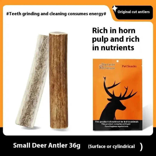 Bite Resistant And Teeth Cleaning Pet Snacks M - lifestyle usage image