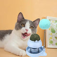 Lucky Cat Licking Music Mint Ball Self-hi To Relieve Boredom And Hair Removal Hairball Mint Grinding Teeth Cleaning Tease Cat Stick Cat Toy Meifu Market