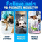 Hemp Hip And Joint Supplement For Dogs Glucosamine For Dogs Meifu Market