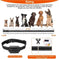 Dog Training Collar Receiver IP67 Waterproof Style1 - styled in 1 dog training collar 1000 meter range anti-bark collar wi...