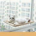 Pet Litter Sucker Hanging Cat Window Hammock Meifu Market