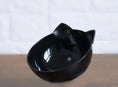 New Inclined Food Cat Ear Oblique Mouth Transparent Single Pet Bowl Meifu Market