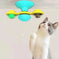 automatic rotating cat toy | interactive cat scratcher | dental cleaning cat toy | ultrasonic cleaning