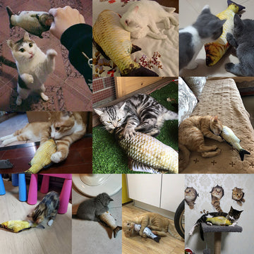 Electric Fish Cat Toy - Jumping Simulation Interactive USB Rechargeable