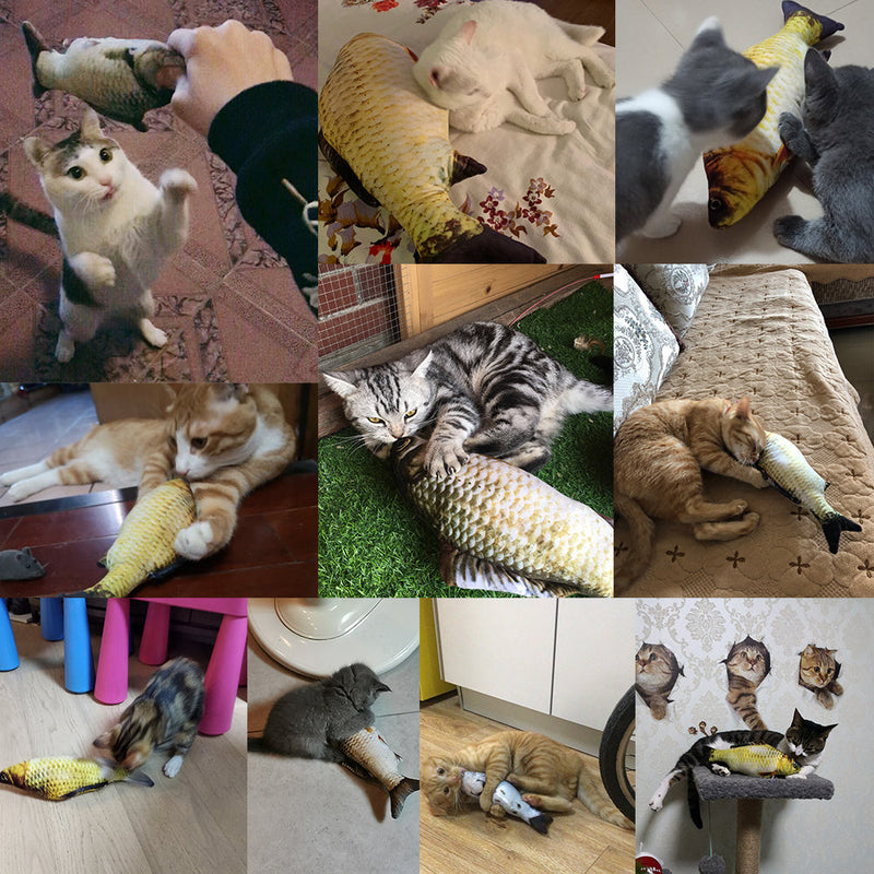 Electric Fish Cat Toy - Jumping Simulation Interactive USB Rechargeable Meifu Market