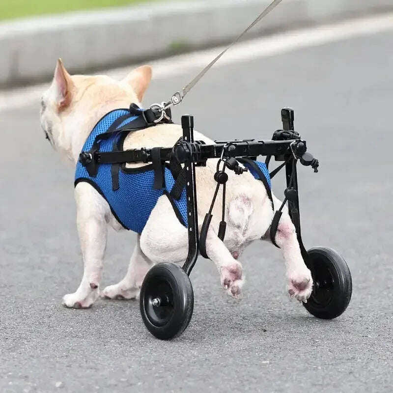 Pet Disabled Dog Wheelchair Scooter Meifu Market