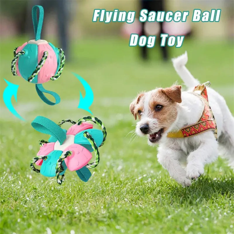 Interactive Dog Football Soccer Ball With Tabs Inflated Training Toy Outdoor Border Collie Balls Pet Products Meifu Market