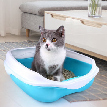 Semi Enclosed Cat Sized Thickened Splash Proof Toilet Meifu Market