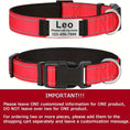 reflective dog collar | adjustable neoprene collar | padded breathable nylon collar | ultrasonic cleaning