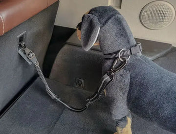 Dog Car Seat Belt - Reflective Retractable Safety Harness with Buffer