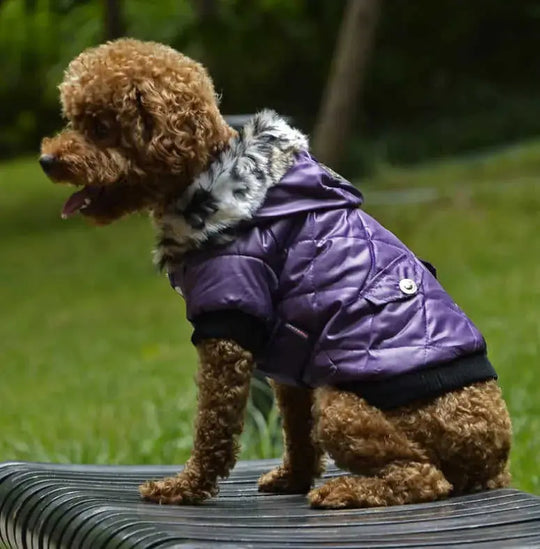 Cross-border pet supplies pet clothes dog clothes autumn and winter fur collar coat pet dog clothing M - texture and mater...
