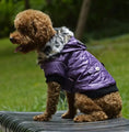 Cross-border pet supplies pet clothes dog clothes autumn and winter fur collar coat pet dog clothing Meifu Market