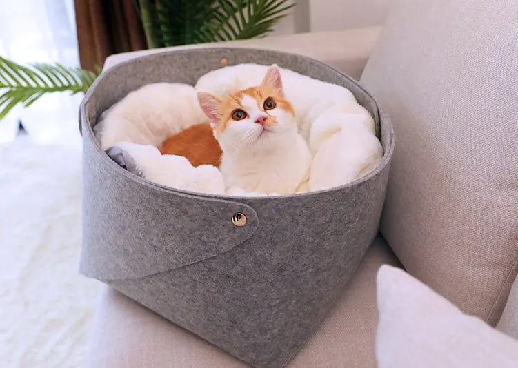 pet bed Meifu Market