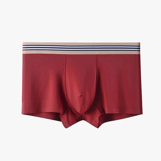 Summer Antibacterial Breathable Mid-waist Boxers Men