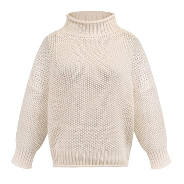 Solid Turtleneck Pullover Sweater Winter Fashion Casual Knitted Long-Sleeved Top Women's Clothing Meifu Market