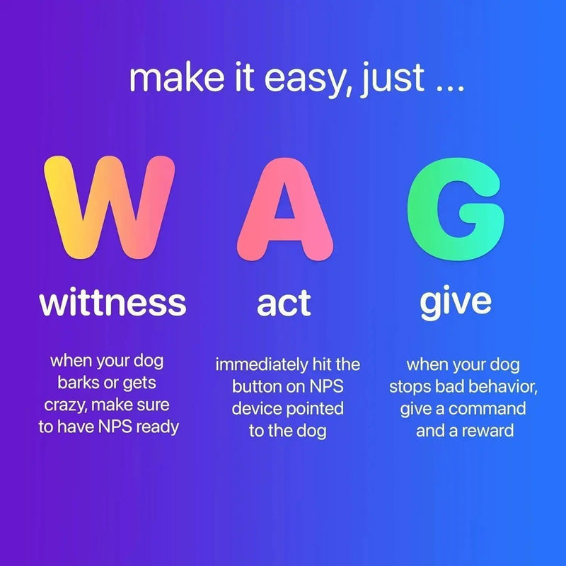 2025 New Dog Trainer Meifu Market