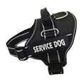 Personalization Of Pet Chest Strap Products Meifu Market