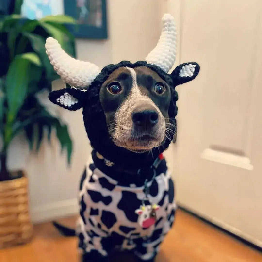 Black Cow Thermal And Windproof Halloween Knitted Jarre Aero Bull Dog Hat - Meifu Market