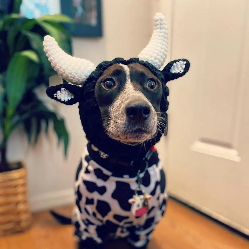 Black Cow Thermal And Windproof Halloween Knitted Jarre Aero Bull Dog Hat Meifu Market