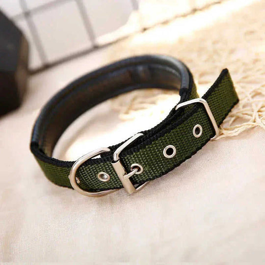 Pp Braid Lined Polypropylene PET Foam Dog Collar Black - main product image
