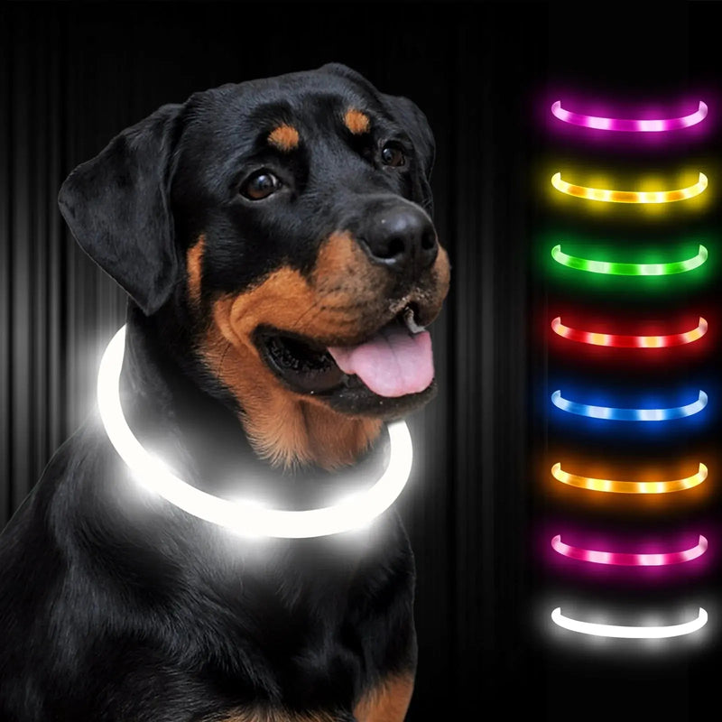 rechargeable pet collar | led dog collar | glowing cat collar | ultrasonic cleaning