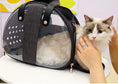 Double Fish Transparent Dog Bag Puppy Cat Cane Backpack Accessory Things Accessoires Bag Products Small Cage Pet Animal Seat Bed Double Fish Transparent Dog Bag Puppy Cat Cane Backpack Access Meifu Market