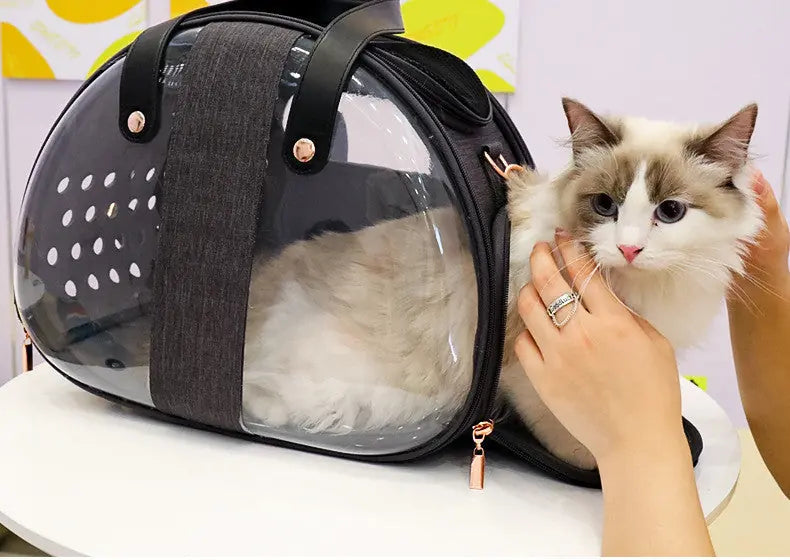 Double Fish Transparent Dog Bag Puppy Cat Cane Backpack Accessory Things Accessoires Bag Products Small Cage Pet Animal Seat Bed Double Fish Transparent Dog Bag Puppy Cat Cane Backpack Access Meifu Market