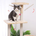 Cat Climber Cat House Meifu Market