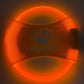 Dog Flying Discs Light Glowing LED LuminousTrainning Interactive Toys Game Flying Discs Dog Toy Pet Dog Accessories Pet Products Meifu Market