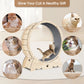 Cat Exercise Wheel For Indoor Cats, Running Wheel With Carpeted Runway Meifu Market