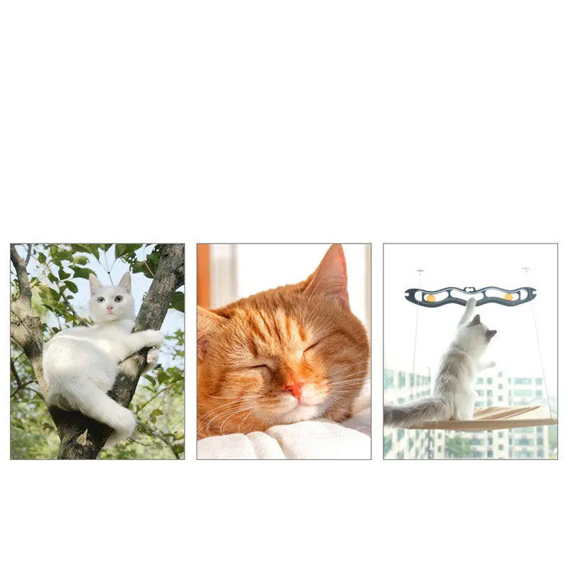 Pet Litter Sucker Hanging Cat Window Hammock Meifu Market