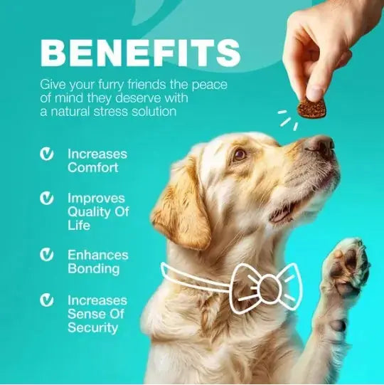 No Poo Chews For Dogs Coprophagia Deterrent For Dogs Forbid For Dogs Stool Eating Deterrent Dog Probiotics For Digestive Health Digestive Gut Immune Health Treats No Poop Eating For Dogs Meifu Market