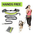 Adjustable Hands Free Dog Leash Meifu Market