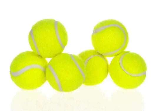 automatic dog ball launcher | interactive pet toy | durable plastic construction | energy saving
