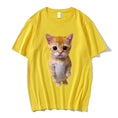 El Gato Meme Sad Crying Cat Munchkin Kitty Yellow - available style options