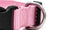 New Pet Collar Red - texture and material detail