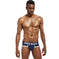 Men's Pure Cotton Triangle Briefs - Polka Dot Sweat-Absorbent Meifu Market