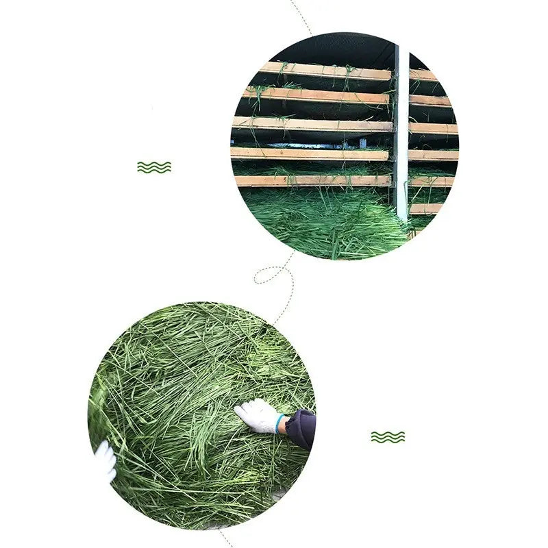 Dried Timothy FCL Hay Snacks Feed Chinchilla Guinea Pig Food Rabbits Pet Products Meifu Market