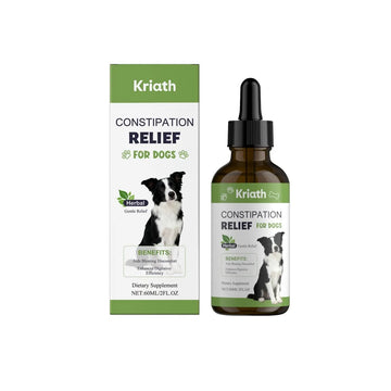 Dog Digestive Health Support Solution Meifu Market