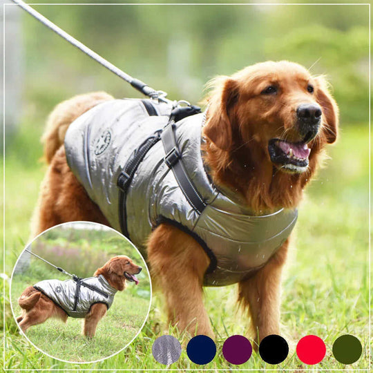 Waterproof Dog Clothes Winter Dog Coat With Harness Warm Pet Clothing Big Dog Jacket Chihuahua Labrador Coat Costume Meifu Market