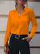 Commuter V-neck Long-sleeved Shirts Ins Fashion Solid Color Pullover Top Autumn And Spring Women's Clothing Meifu Market