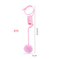 Cat Toy Self-Hi Sucker Spring Rabbit Hair Ball Interactive Play Pet Supplies Interactive Toys Meifu Market