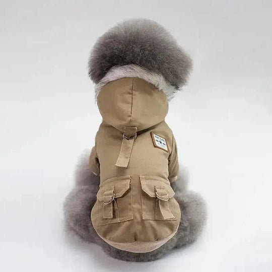 Cap dog coat Grey - scale comparison view