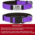 reflective dog collar | adjustable neoprene collar | padded breathable nylon collar | ultrasonic cleaning