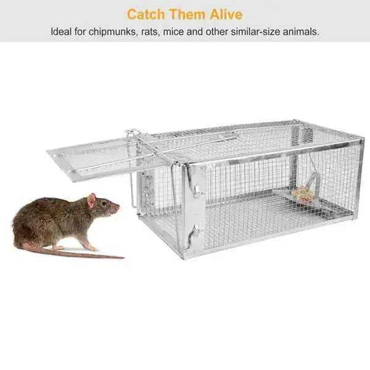 Humane Rat Trap Cage 2 Pack - Live Mouse Rodent Trap Galvanized Steel Catch Release Meifu Market