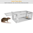 2 Pack Rat Trap Cage Humane Live Rodent Trap Cage Galvanized Iron Mice Mouse Control Bait Catch With Detachable U Shaped Rod Meifu Market