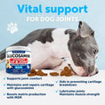 Glucosamine For Dogs Hip And Joint Supplement For Dogs With Arthritis Chews With Chondroitin Hemp Oil MSM Canine Joint Pain Relief Health Mobility Support For Large Breeds 120 Soft Treats Meifu Market