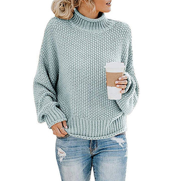 Solid Turtleneck Pullover Sweater Winter Fashion Casual Knitted Long-Sleeved Top Women's Clothing Meifu Market