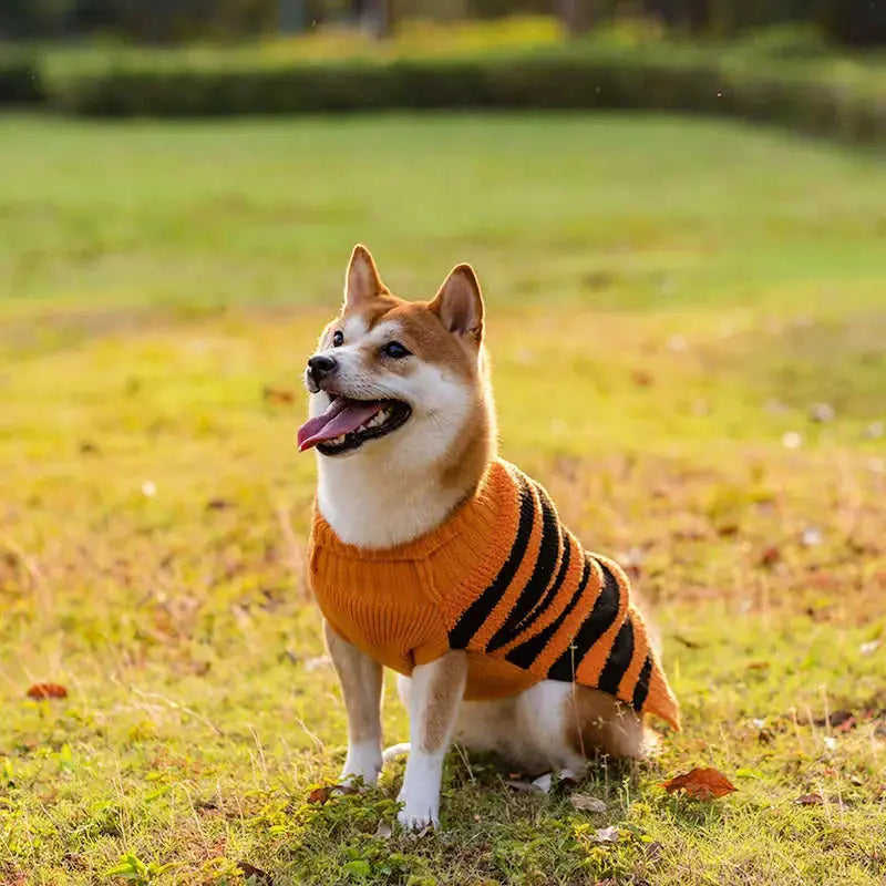 Halloween Dog Sweaters Pet Costume Teddy Warm Leisure Sweater Cosplay Clothes For Dogs Pets Outfits Orange Small Pumpkin -...